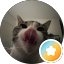 Donna Avatar